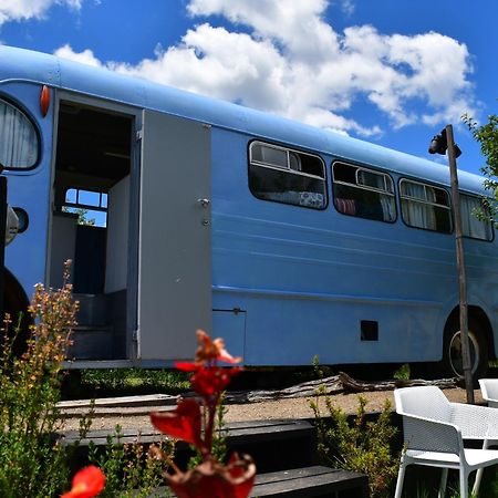Evi The School Bus At Oromahoe Downs Farm Puketona Zewnętrze zdjęcie