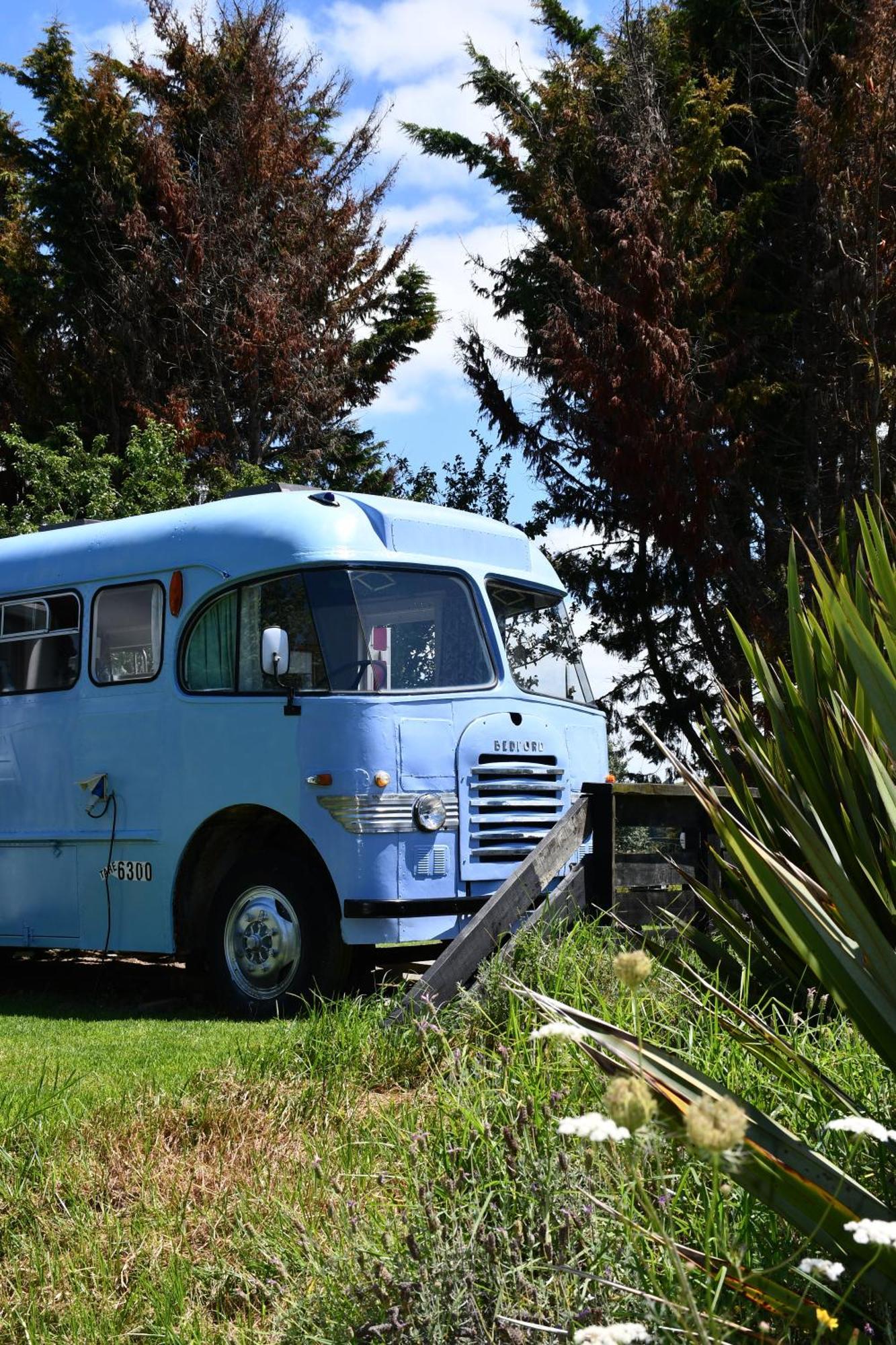 Evi The School Bus At Oromahoe Downs Farm Puketona Zewnętrze zdjęcie