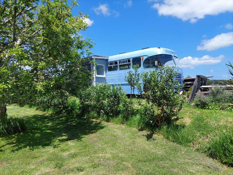 Evi The School Bus At Oromahoe Downs Farm Puketona Zewnętrze zdjęcie